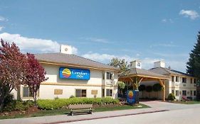 Comfort Inn Santa Cruz California